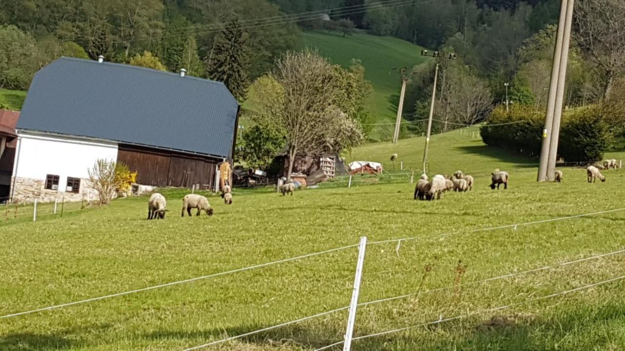 Apartman Rokytnice, Rokytno 20 Rokytnice nad Jizerou Eksteriør bilde