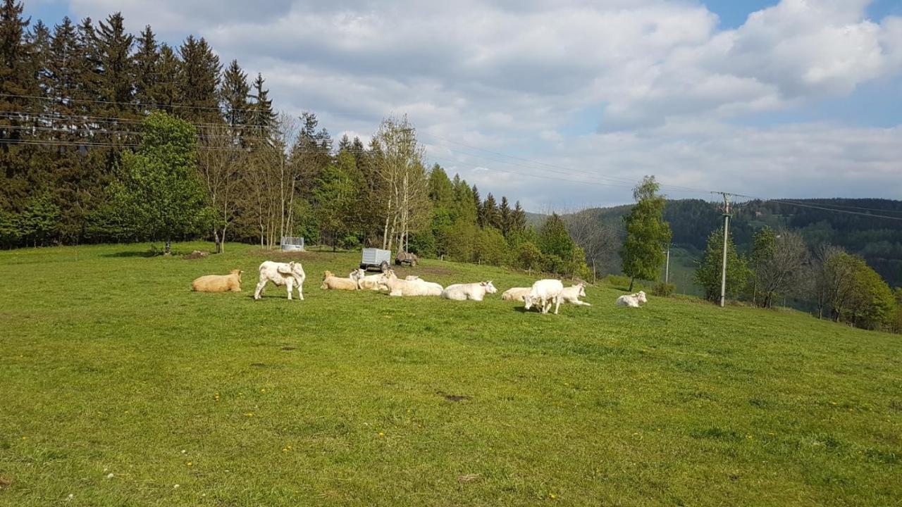 Apartman Rokytnice, Rokytno 20 Rokytnice nad Jizerou Eksteriør bilde